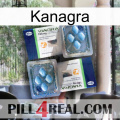 Kanagra viagra5